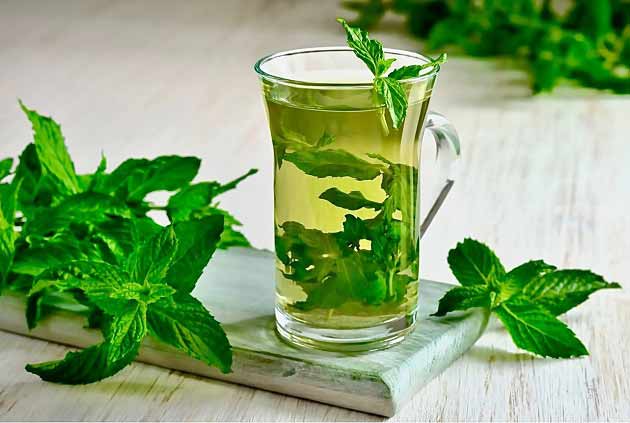 تصویر 3 از قیمت عرق نعناع کاشان + خرید باور نکردنی