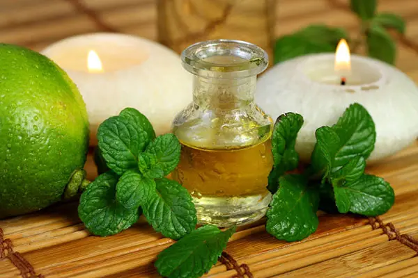 تصویر 5 از قیمت عرق نعناع کاشان + خرید باور نکردنی