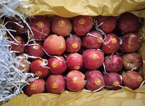 تصویر 5 از خرید سیب گلاب ترش + قیمت فروش استثنایی