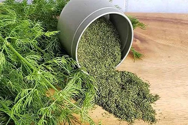 تصویر 4 از خرید شوید خشک پفکی + قیمت فروش استثنایی