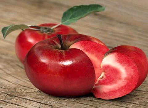 تصویر 5 از قیمت سیب گلاب فرانسوی با کیفیت ارزان + خرید عمده