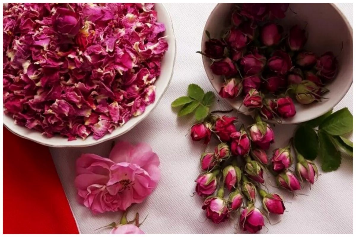 تصویر 3 از قیمت خرید مربا گل سرخ + خرید باور نکردنی