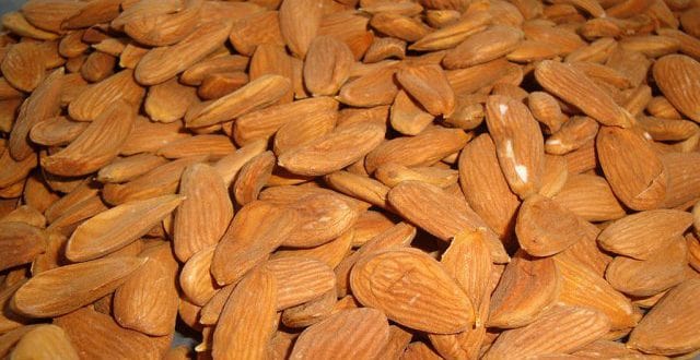 تصویر 3 از قیمت خرید مغز بادام مامایی عمده + فروش ویژه
