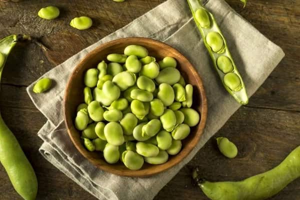تصویر 5 از خرید و قیمت باقلا منجمد + فروش عمده