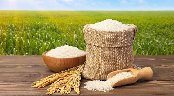 تصویر 2 از قیمت خرید برنج کامفیروزی اسدی + فروش ویژه