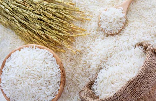 تصویر 3 از خرید و فروش برنج کامفیروزی معدل با شرایط فوق العاده