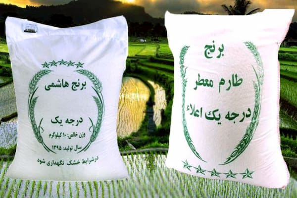 تصویر 5 از قیمت خرید برنج طارم هاشمی محلی + فروش ویژه
