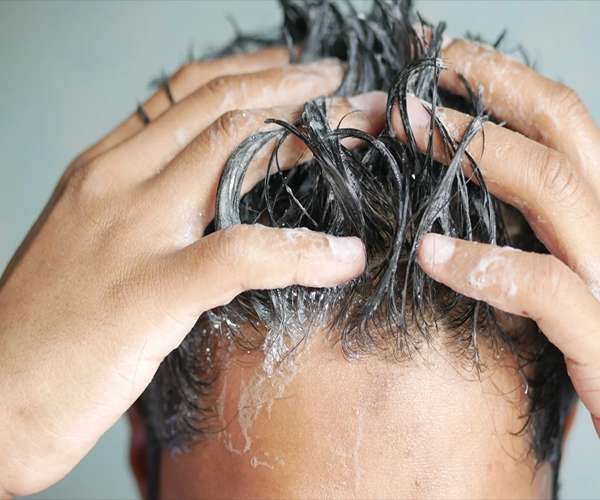 تصویر 1 از فروش شامپو گیاهی مو + قیمت خرید به صرفه
