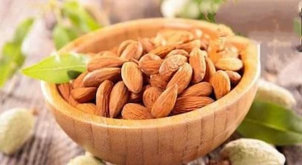 تصویر 5 از خرید و قیمت بادام مامایی خام + فروش عمده