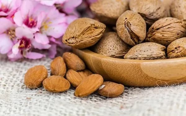 تصویر 3 از فروش بادام مامایی شور + قیمت خرید به صرفه