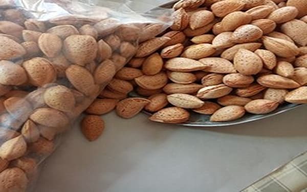 تصویر 4 از خرید بادام مامایی اصفهان + قیمت فروش استثنایی