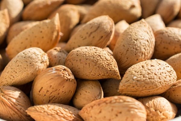تصویر 4 از قیمت خرید بادام درجه یک صادراتی + فروش ویژه