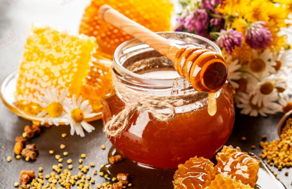 تصویر 3 از خرید عسل کوهی وحشی با کیفیت + قیمت فروش استثنایی