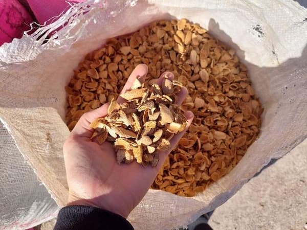 تصویر 2 از قیمت پودر پوست بادام با کیفیت ارزان + خرید عمده