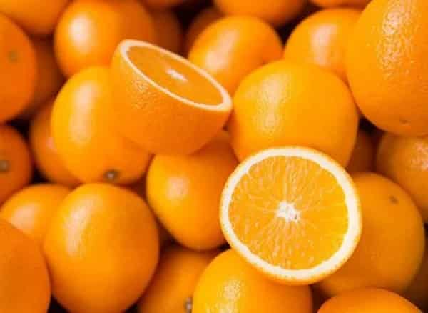 تصویر 5 از خرید پرتقال تامسون شمال + قیمت فروش استثنایی
