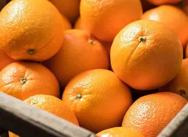 فروش پرتقال تامسون