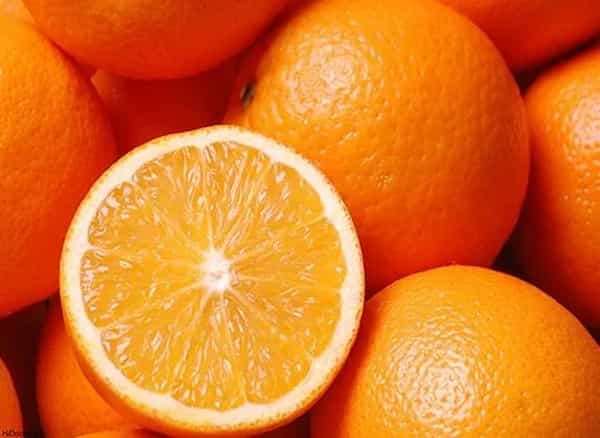تصویر 5 از خرید پرتقال والنسیا شمال + قیمت فروش استثنایی