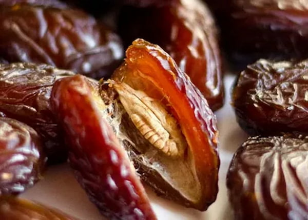 تصویر 5 از فروش خرما پیارم هرمزگان + قیمت خرید به صرفه