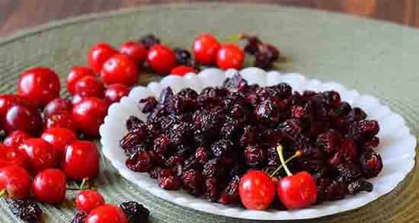 تصویر 5 از خرید و فروش میوه خشک گیلاس با شرایط فوق العاده