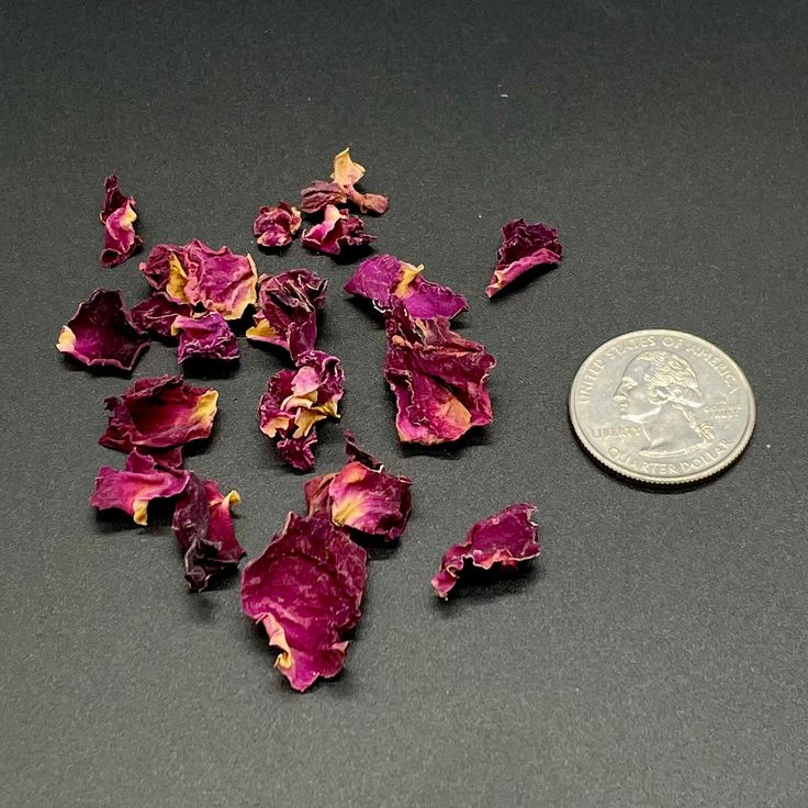 تصویر 1 از خرید و فروش پر گل محمدی خشک با شرایط فوق العاده