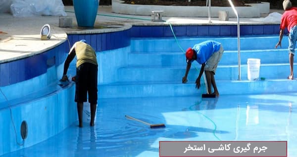 تصویر 3 از قیمت خرید جرم گیر کاشی استخر + فروش ویژه