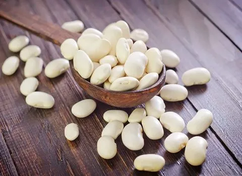 تصویر 2 از قیمت خرید کنسرو نخود و لوبیا سفید با فروش عمده
