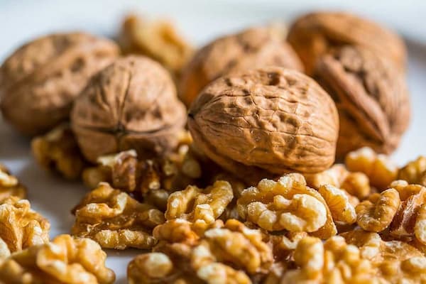 تصویر 5 از خرید و قیمت مغز گردو زربار + فروش عمده