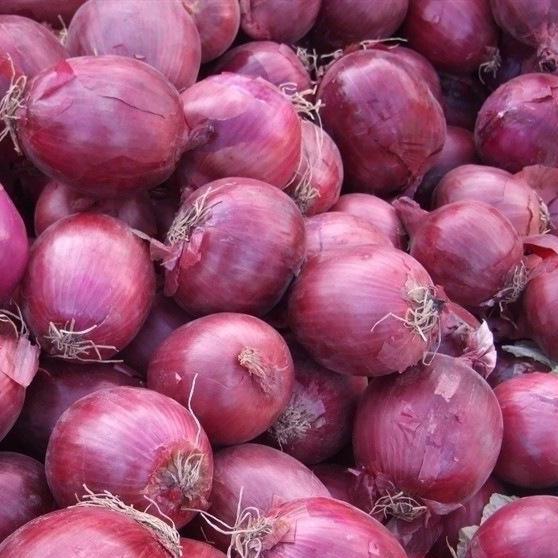 تصویر 5 از خرید و فروش پیاز قرمز کوچک با شرایط فوق العاده