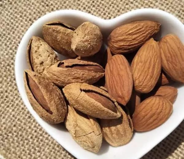 تصویر 1 از قیمت خرید مغز بادام فله با فروش عمده