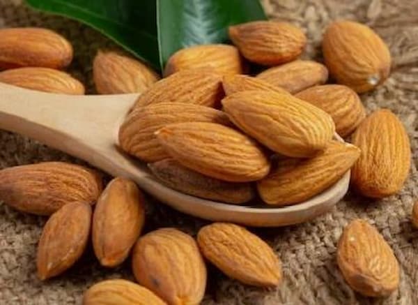 تصویر 5 از قیمت مغز بادام شور درختی با کیفیت ارزان + خرید عمده