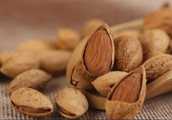 تصویر 4 از خرید و فروش مغز گردو فسنجانی با شرایط فوق العاده
