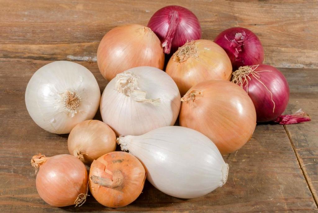تصویر 2 از قیمت خرید پیاز زرد اصفهان + فروش ویژه