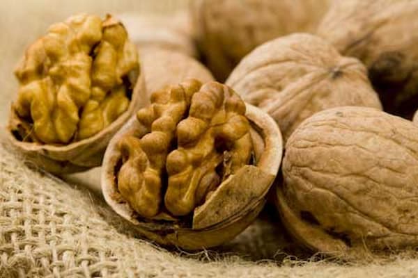 تصویر 4 از قیمت مغز گردو درجه دو + خرید باور نکردنی