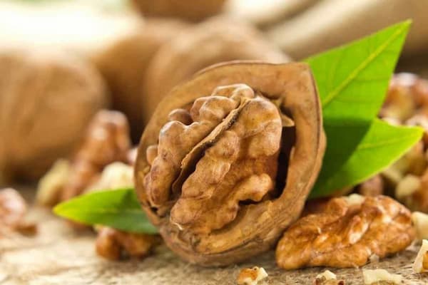 تصویر 2 از قیمت مغز گردو درجه دو + خرید باور نکردنی