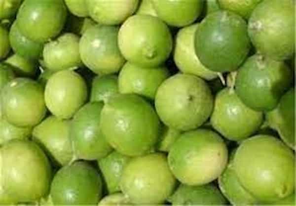 تصویر 1 از خرید لیمو ترش شیرازی + قیمت فروش استثنایی
