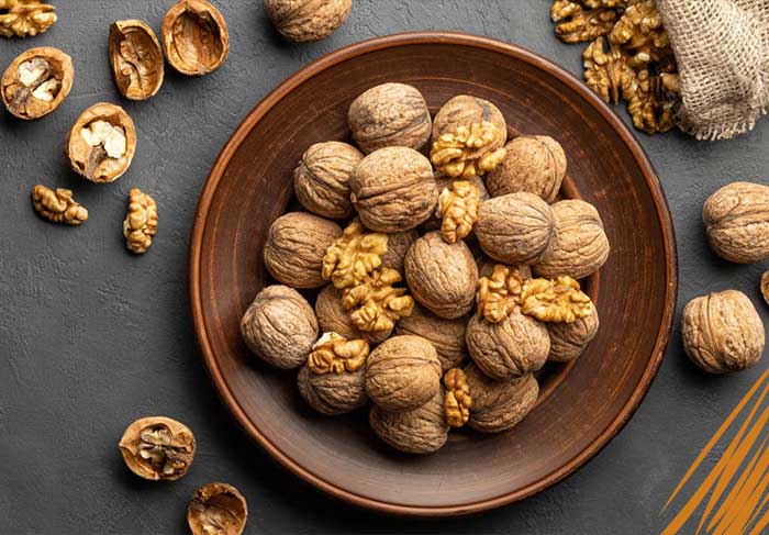 تصویر 1 از خرید مغز گردو عمده + قیمت فروش استثنایی