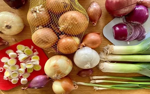 تصویر 5 از قیمت خرید پیاز زرد درجه یک + فروش ویژه