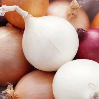 تصویر 5 از قیمت خرید پیاز سفید ریز + فروش ویژه