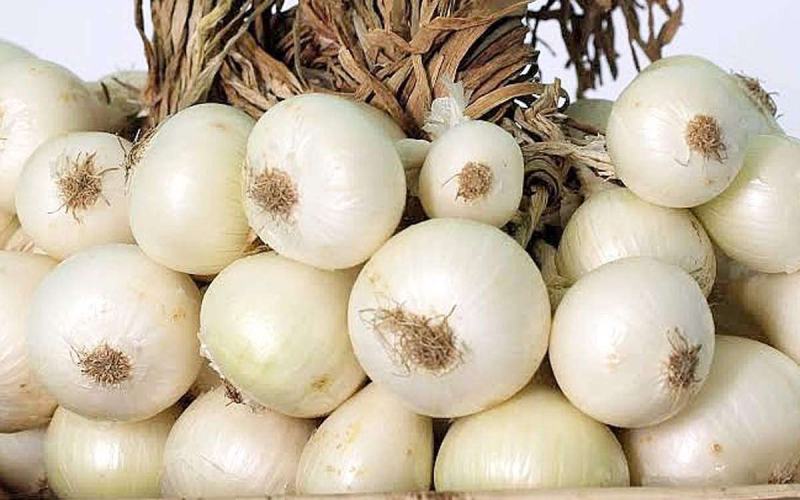تصویر 3 از فروش پیاز سفید اصفهان + قیمت خرید به صرفه