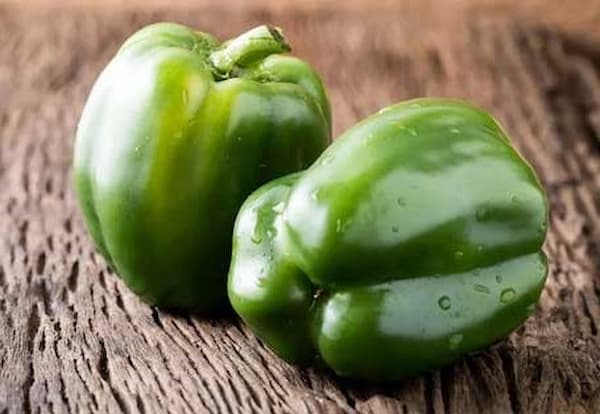 تصویر 5 از عمده فروشی فلفل دلمه رنگی با گواهی صادرات