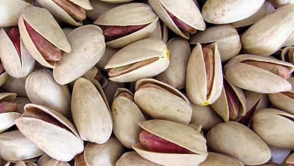 تصویر 2 از فروش پسته فندقی ریز + قیمت خرید به صرفه