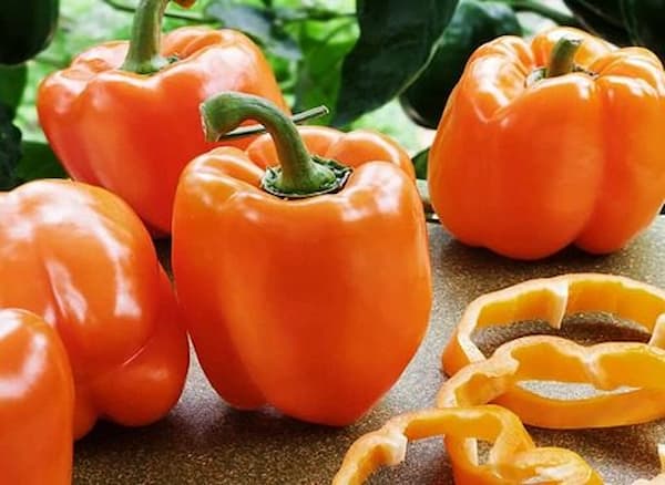 تصویر 3 از قیمت خرید فلفل دلمه نارنجی + فروش ویژه