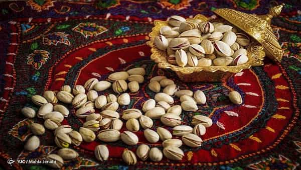 تصویر 5 از فروش پسته خام فله + قیمت خرید به صرفه