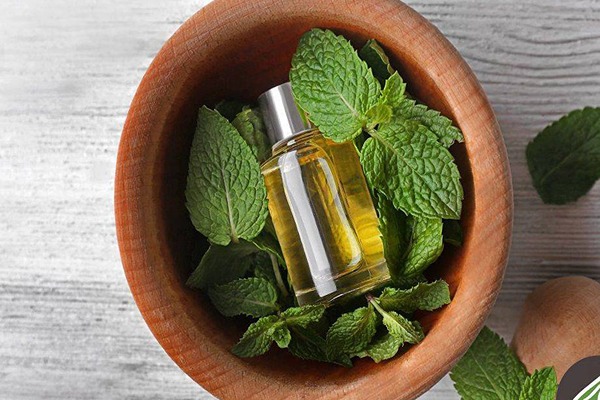 تصویر 2 از فروش عرق نعنا فلفلی برای معده + قیمت خرید به صرفه