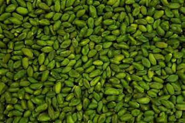 تصویر 5 از قیمت خرید مغز پسته سبز + فروش ویژه