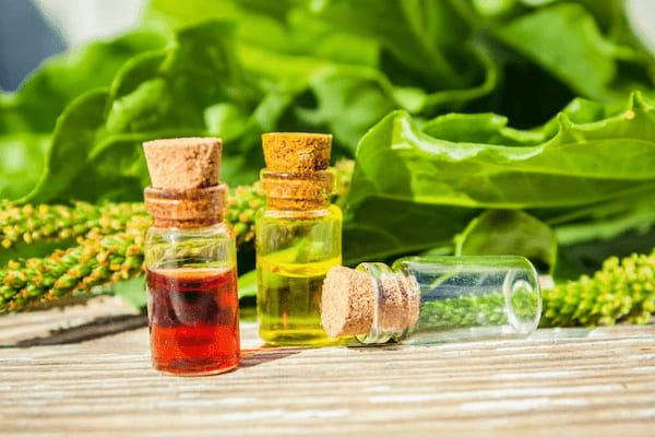 تصویر 5 از قیمت عرق رازیانه کاشان یک لیتری + فروش عمده