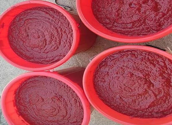 تصویر 4 از قیمت رب ۴ کیلویی طبیعت + خرید باور نکردنی