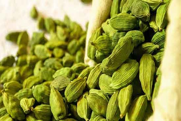 تصویر 4 از خرید و قیمت عرق هل اصل + فروش عمده