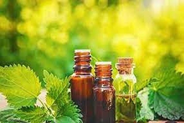 تصویر 5 از قیمت خرید شربت عرق گزنه با فروش عمده