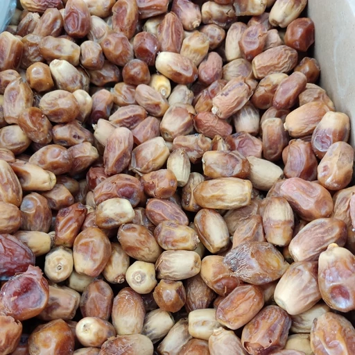 تصویر 5 از خرید و فروش خرما زاهدی فله با شرایط فوق العاده